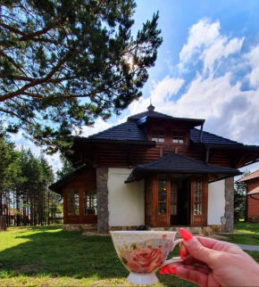Vila Panić Zlatibor